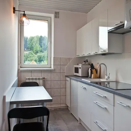 Apartament Center Grand Loft Krynica Zdroj